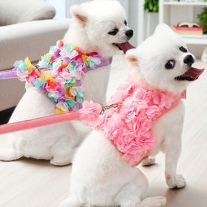 Könnte beinhalten: Zwei weiße Hunde mit floralen Geschirren und passenden Leinen. Ein Geschirr ist mit einem Regenbogen aus Pastellblumen verziert, das andere mit rosa Blumen. Die Hunde sitzen und haben die Zunge draußen.
