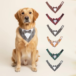 Könnte beinhalten: Ein Golden Retriever trägt einen karierten Hunde-Smoking mit Fliege. Mehrere andere Hunde-Smoking-Modelle in verschiedenen Karomustern und Farben werden rechts angezeigt, darunter Rot, Grün und Braun.