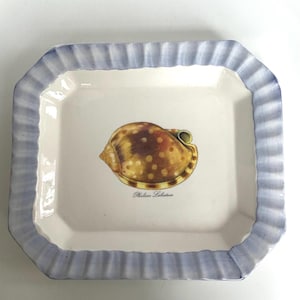 May include: A rectangular ceramic serving tray with a light blue scalloped border. The center features a detailed illustration of a seashell with the scientific name "Phalium Labiatum" below it. The seashell is brown with white spots.