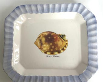 Vintage Ceramica Duo Torri Seashell platter plate Phalium Labiatum sea shell dish plate Italian ceramics Beach decor Coastal dishware
