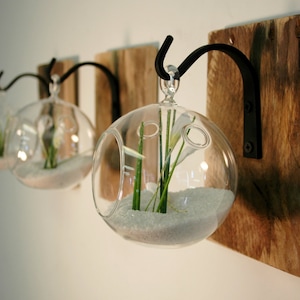 Air plant holder, Boho chic decor, Rustic wall decor, Modern farmhouse wall decor, coastal beach wall decor, air plant vase, Rustic living
