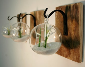 Air plant holder, Boho chic decor, Rustic wall decor, Modern farmhouse wall decor, coastal beach wall decor, air plant vase, Rustic living