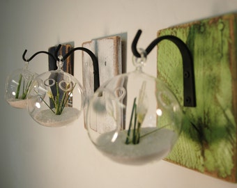 Air plant holder, Boho chic decor, Rustic wall decor, Modern farmhouse wall decor, coastal beach wall decor, air plant vase, Rustic living