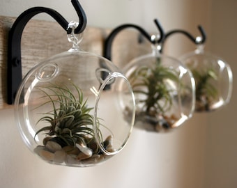 Rustic wall decor, Succulent holder, Farmhouse style decor, Modern Farmhouse, Bedroom decor, glass globe, Air plant vase,Living room decor