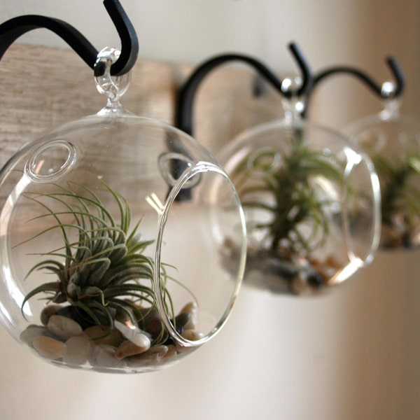 Rustic wall decor, Succulent holder, Farmhouse style decor, Modern Farmhouse, Bedroom decor, glass globe, Air plant vase,Living room decor