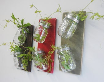 Kitchen herb garden, Wall herb garden, Mason jar wall decor, Mason jar kitchen decor, Succulent garden, Succulent pots, Rustic kitchen decor