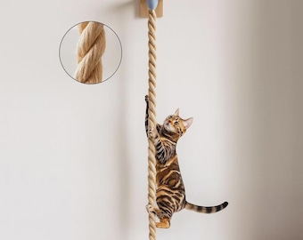 Sisalseil Katzenkletterwand - Montierter Katzenkratzbaum & Aktivitätsbaum