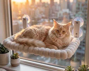 Katzen Fenster Hängematte, Sitzstange mit Saugnapf, Oval & Quadrat Sitz für Indoor Katzen