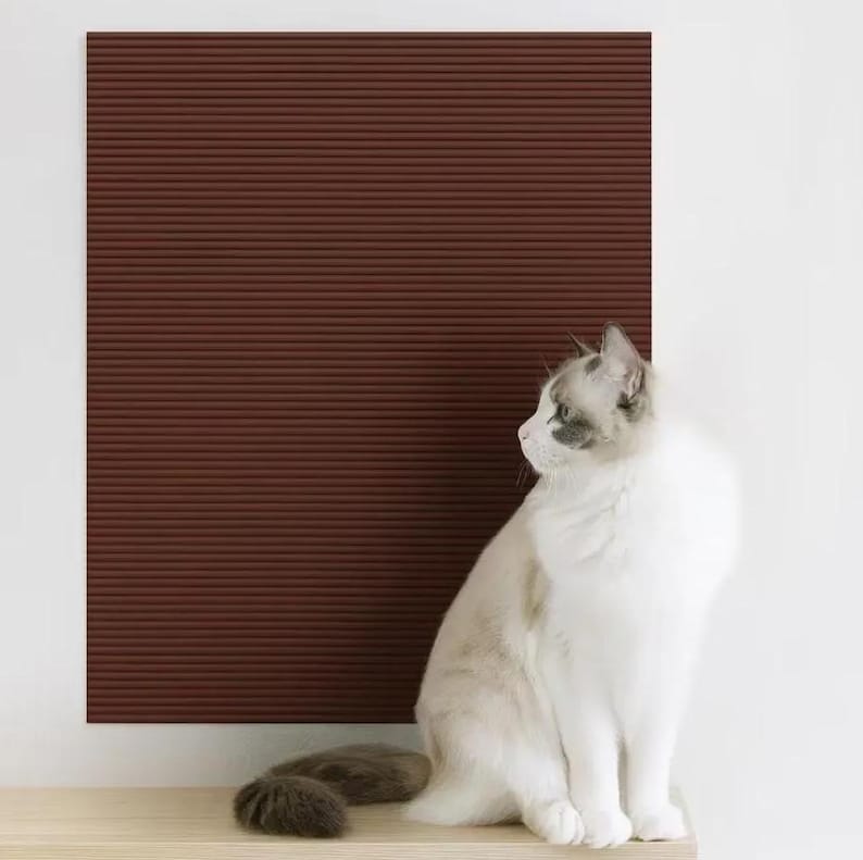 May include: A Ragdoll cat with blue eyes and a white and grey coat sits on a wooden shelf. The cat is looking to the left, with a dark brown, textured wall in the background.