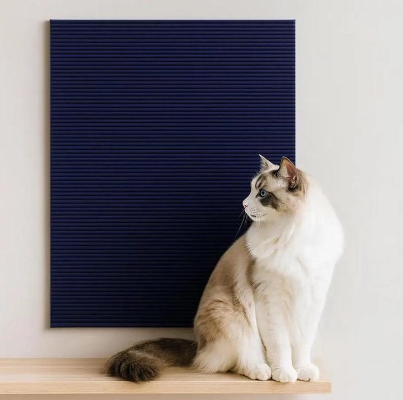 May include: A navy blue, textured wall panel is mounted on a white wall. A fluffy, light-colored cat with blue eyes sits on a wooden shelf in front of the panel, looking to the side.