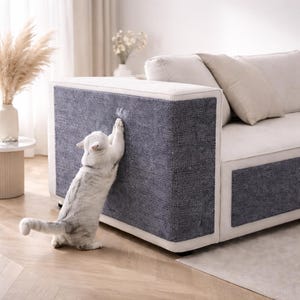 Puede incluir: Un gato blanco y gris araña un panel de tela gris en el brazo de un sofá moderno. El sofá tiene un marco y cojines blancos. El gato está de pie sobre un suelo de madera de color claro.