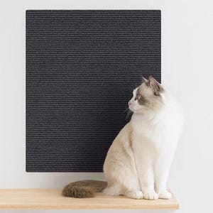 Cat Scratch Mat: Self-Adhesive Furniture Protector for Sofa, Wall & Door Multiple Sizes Dark Gray