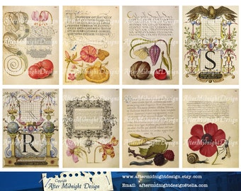 Tags No 61. Digital Printable Tags - Antique Medieval Nature Illustrations, Bird Dragonfly Insect Fruit Berries Nuts Flowers Images, ATC