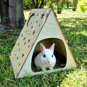 May include: A small, light-colored wooden pet house shaped like a triangle, with star and crescent moon cutouts. A white rabbit sits inside the house, surrounded by green grass. The house is outdoors in a park setting.