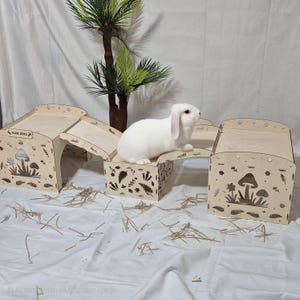 May include: A white rabbit with pink-lined ears sits on a wooden pet habitat. The habitat is made of light-colored wood and features cut-out mushroom and leaf designs. The habitat has three connected sections.