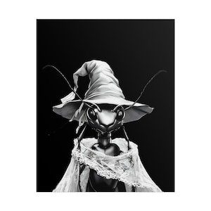 White Ant Witch Art Print Rolled Poster for Home Decor Unique Gift for Nature Lovers Fun Wall Art for Kids Rooms Cute Insect Artwork