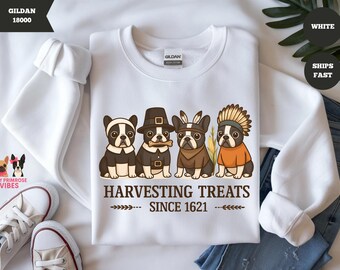 Suéter divertido de Boston Terrier, sudadera de la cosecha de golosinas, camiseta de Acción de Gracias de peregrino