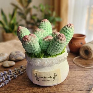 Handmade Crochet Succulent Plant in Pot – Mini Faux Plant Decor, Cute Desk Plant, Zero-Maintenance Gift, Amigurumi Home Office Decoration