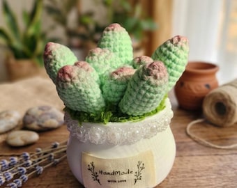 Handmade Crochet Succulent Plant in Pot – Mini Faux Plant Decor, Cute Desk Plant, Zero-Maintenance Gift, Amigurumi Home Office Decoration