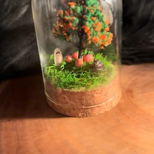 Puede incluir: Un terrario en miniatura con temática de Halloween en una campana de cristal. Presenta un pequeño árbol con follaje naranja y verde, calabazas en miniatura, una figura de fantasma y musgo verde. La base es de corcho y el fondo es oscuro.