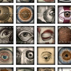 May include: A collage of vintage anatomical illustrations of the human eye. The images show different views of the eye, including the muscles, nerves, and blood vessels. Some of the images are in black and white, while others are in colour.