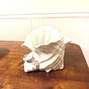 Concho Muschel Cache Pot