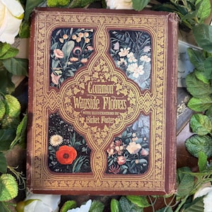 Könnte beinhalten: Antikes Buch mit dem Titel "Common Wayside Flowers" mit Illustrationen von Birket Foster. Der Einband ist dunkelrot mit Goldverzierungen und floralen Illustrationen. Das Buch ist von weißen Rosen und Grün umgeben.