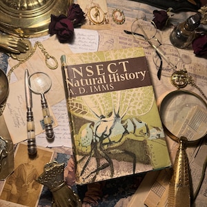 Puede incluir: Naturaleza muerta antigua con un libro titulado "Insect Natural History" de A.D. Imms. La escena incluye una lupa, gafas, rosas secas y objetos de latón. La portada del libro presenta una ilustración detallada de un insecto.