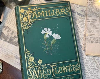 Op de afbeelding: Een vintage boek getiteld "Familiar Wildflowers" met een donkergroene kaft en gouden letters. De kaft heeft een bloemenillustratie van witte wilde bloemen. Het boek ligt op een achtergrond van oude kranten en andere antieke items.