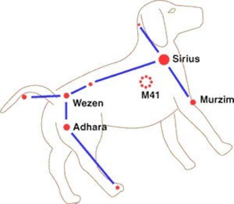 Сириус схема. Canis Major Созвездие. Созвездие собаки Сириус. Созвездие большой пес схема. Модель созвездия большой пес.