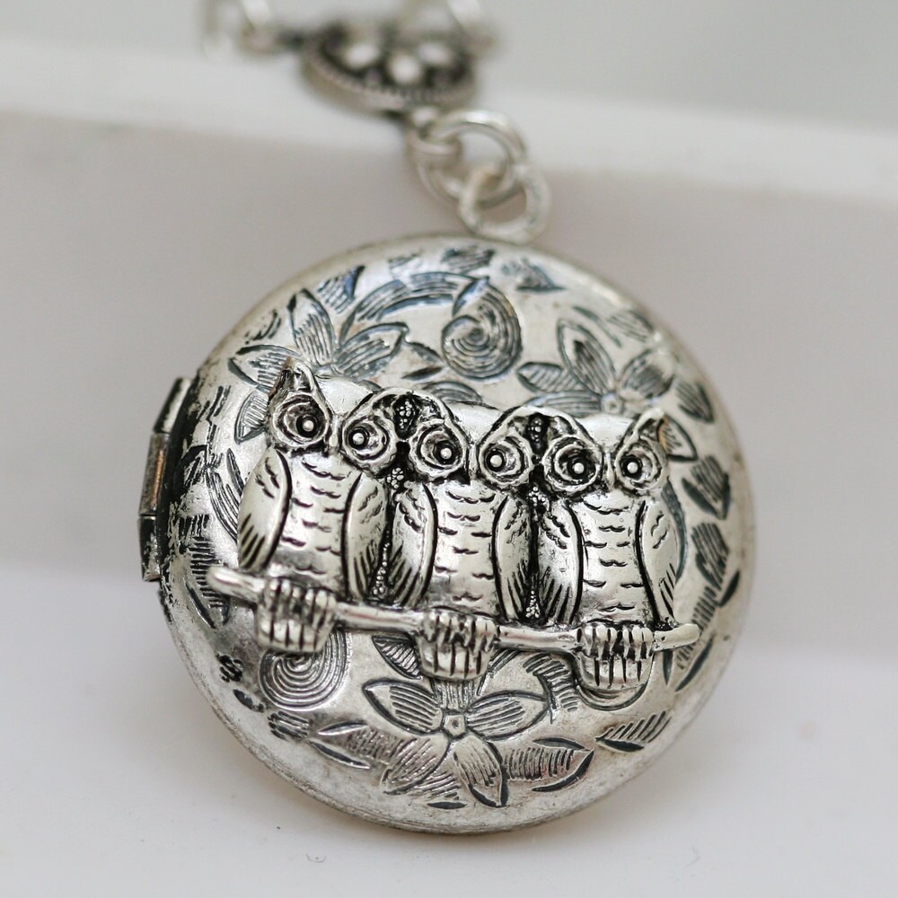 Locket NecklaceSilver Owl LocketLocketLeafJewelryThree