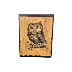 Hand-Carved Screech Owl Wood Art - Signed M. Stephens - 11&quot;x8.5&quot;