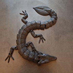 Flexible Dragon
