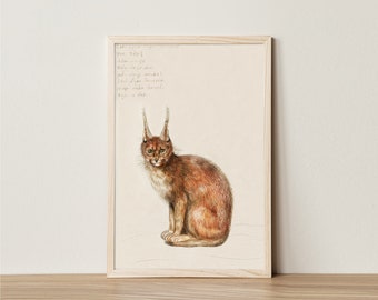 Digital Download Vintage Aesthetic Antique Lynx Cat Scientific Specimen Wild Kitten Art Print Animal Illustration Cabincore Light Academia