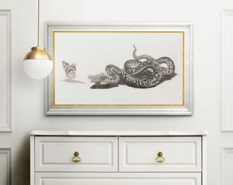 Digital Download Vintage Wall Art Vintage Snake and Butterfly Printable Antique Scientific Specimen Boho Bohemian Light Dark Academia Moody