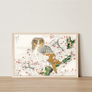 Japandi uil kersenbloesem Japanse digitale download muur kunst aquarel print neutraal Boho Cottagecore vogel schilderij chinoiserie botanisch