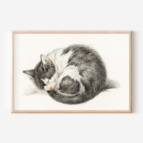 Digital Download Print Vintage Good Luck Sleeping Cat 1800s Antique Illustration Farmhouse Aesthetic Nursery Wall Art Kitten Animal Drawing