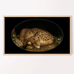 Puede incluir: Una pintura de un leopardo durmiendo en un marco ovalado oscuro. El leopardo está enroscado con la cabeza apoyada en sus patas. El pelaje del leopardo es una mezcla de manchas marrones, negras y blancas.