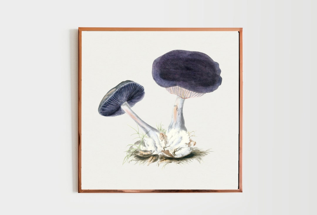 Vintage Mushrooms Art Digital Print Download Fall Neutral Aesthetic