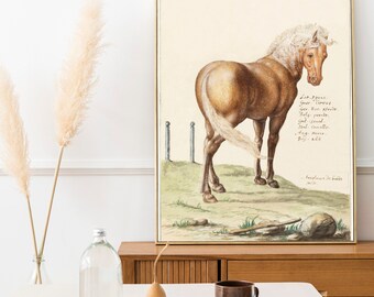 Digital Print Download Print Antique Horse Pretty Pony Farmhouse Painting Vintage Animal Painting Printable Boho Rustic Academia Wall Art