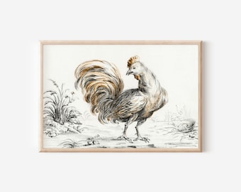 May include: A black and white illustration of a rooster with a brown and gold tail feathers. The rooster is standing on a grassy field with a white background.