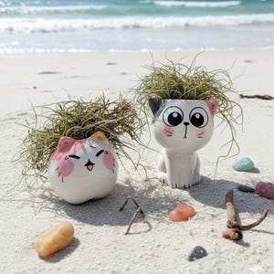 May include: Two white ceramic cat planters with air plants on a sandy beach. One cat planter is round with pink accents, and the other is upright with black and pink accents. The planters have cartoon-like faces.