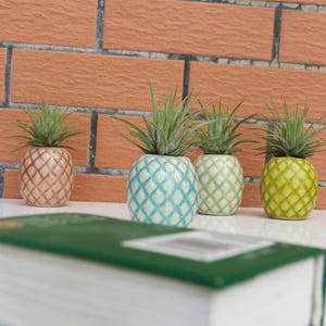 May include: Four ceramic pineapple-shaped planters in shades of brown, blue, green, and yellow, each holding a small green plant. The planters are arranged in a row against a brick wall background.