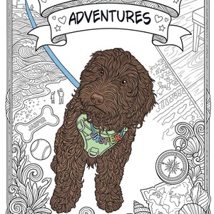 Può includere: Una pagina da colorare intitolata Jasper's Adventures che raffigura un cane marrone dal pelo riccio che indossa una pettorina verde chiaro con il nome Jasper in lettere colorate. Lo sfondo include un faro, una spiaggia, una bussola, una mappa e conchiglie.