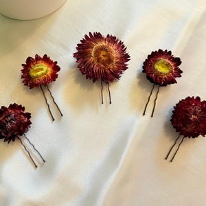 Weinrote Strohblumen-Haarnadeln - Echte getrocknete Blumen-Haarschmuck, rustikale Hochzeit Haarteil, Boho Brautjungfer Haarspangen, Blumen Haarnadeln