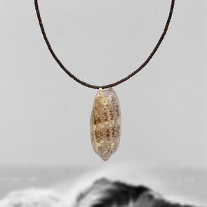 Summer beaded seashell chocker, necklace with real shell, minimalist jewellery