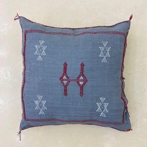 Boho Home Decor, Handmade Pillow, Moroccan Pillow, Cactus Silk Cushion, Ethnic Accent Piece, Artisan Bed Styling, Natural Materials