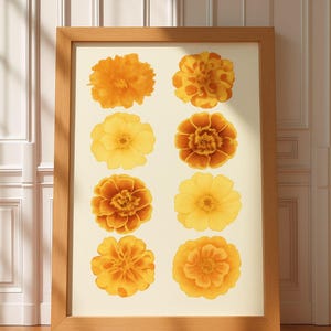 October Birth Flower, Marigold Wall Print, Wall Decoration, Floral Art, Home Decor, Gift for Her, Fall Decor