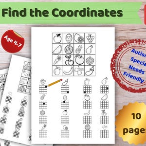 Find the Coordinates Worksheets, Spatial Awareness Activities, Montessori Math, Visual Perception Prep, Special Needs Logic Games, PDF