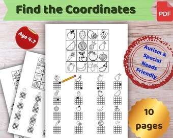 Fogli di lavoro per trovare le coordinate, attività di consapevolezza spaziale, matematica Montessori, preparazione alla percezione visiva, giochi di logica per bisogni speciali, PDF